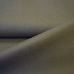 canvas bruin