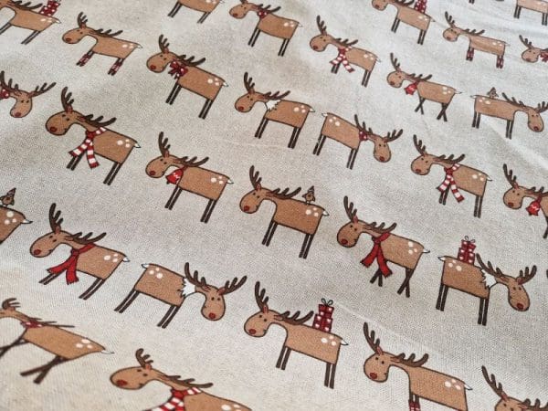 Santa's reindeers