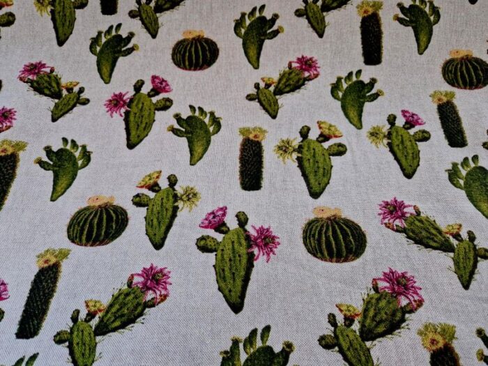 Cactus - Afbeelding 2