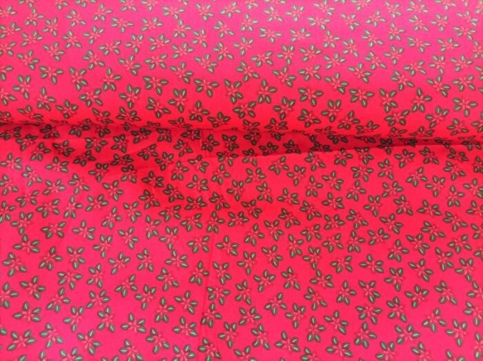 maretak rood - Afbeelding 2